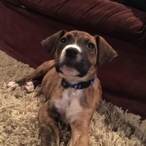 Meet your Posher, Blaine